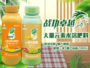 ԴӯڻrIg޹˾