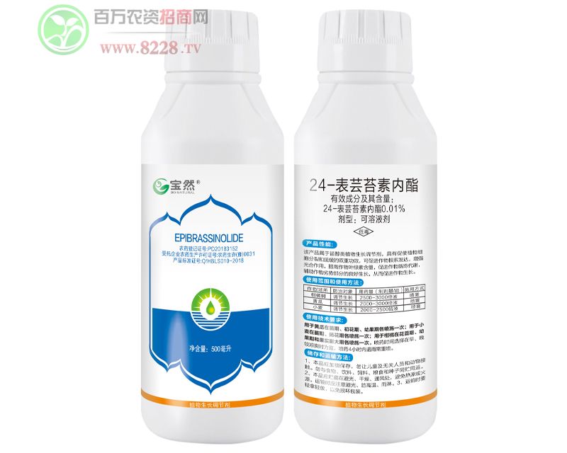 24-|̦؃100ml